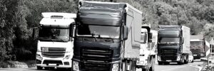 Leia mais sobre o artigo The Brazilian Regulatory Agency and the Truckers’ Crisis: An Institutional Problem?