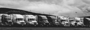 De Facto Quasi-Regulatory Agencies in Brazil: A Case Study on the Truckers’ National Blockade